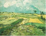 Vincent Van Gogh Wheatfield at Auvers under Clouded Sky USA oil painting artist